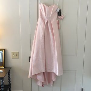 Alfred sung blush dress